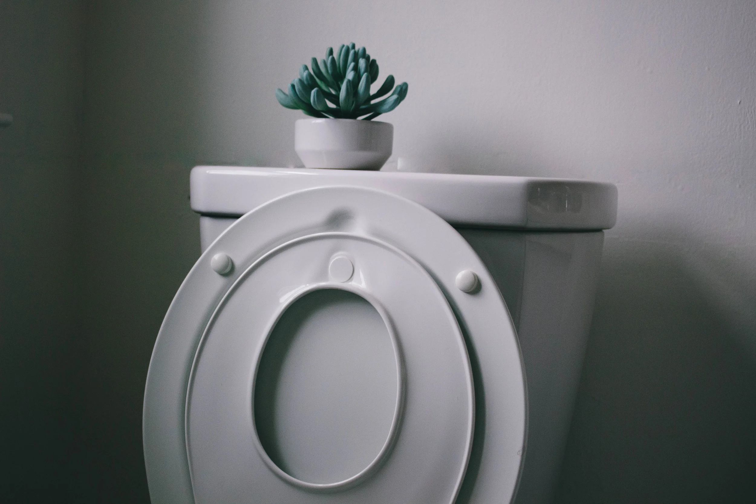 POTTY TRAINING image 2