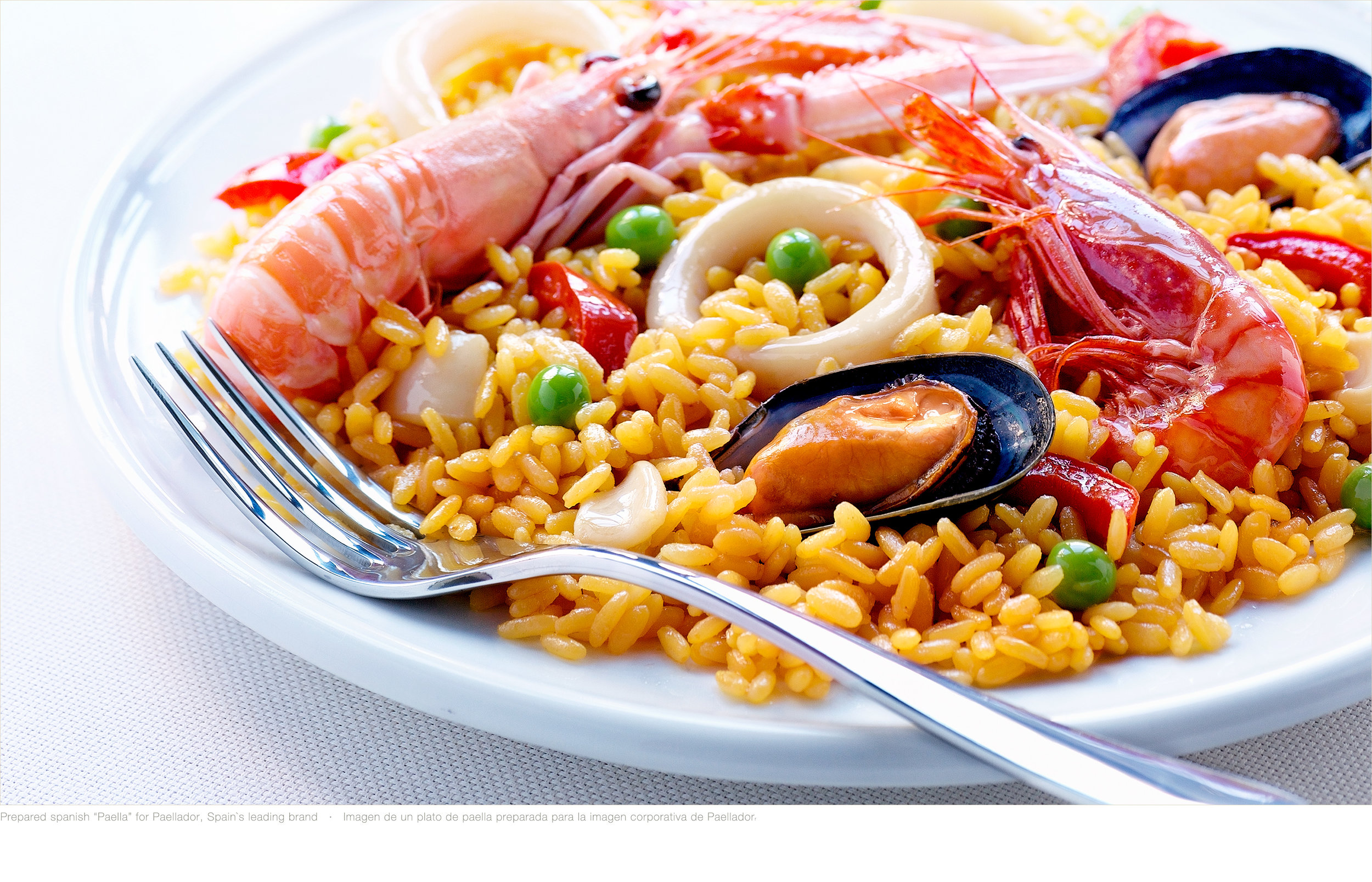 A38-Paella-Paellador-Daylight.psd-BIG-BIG.jpg