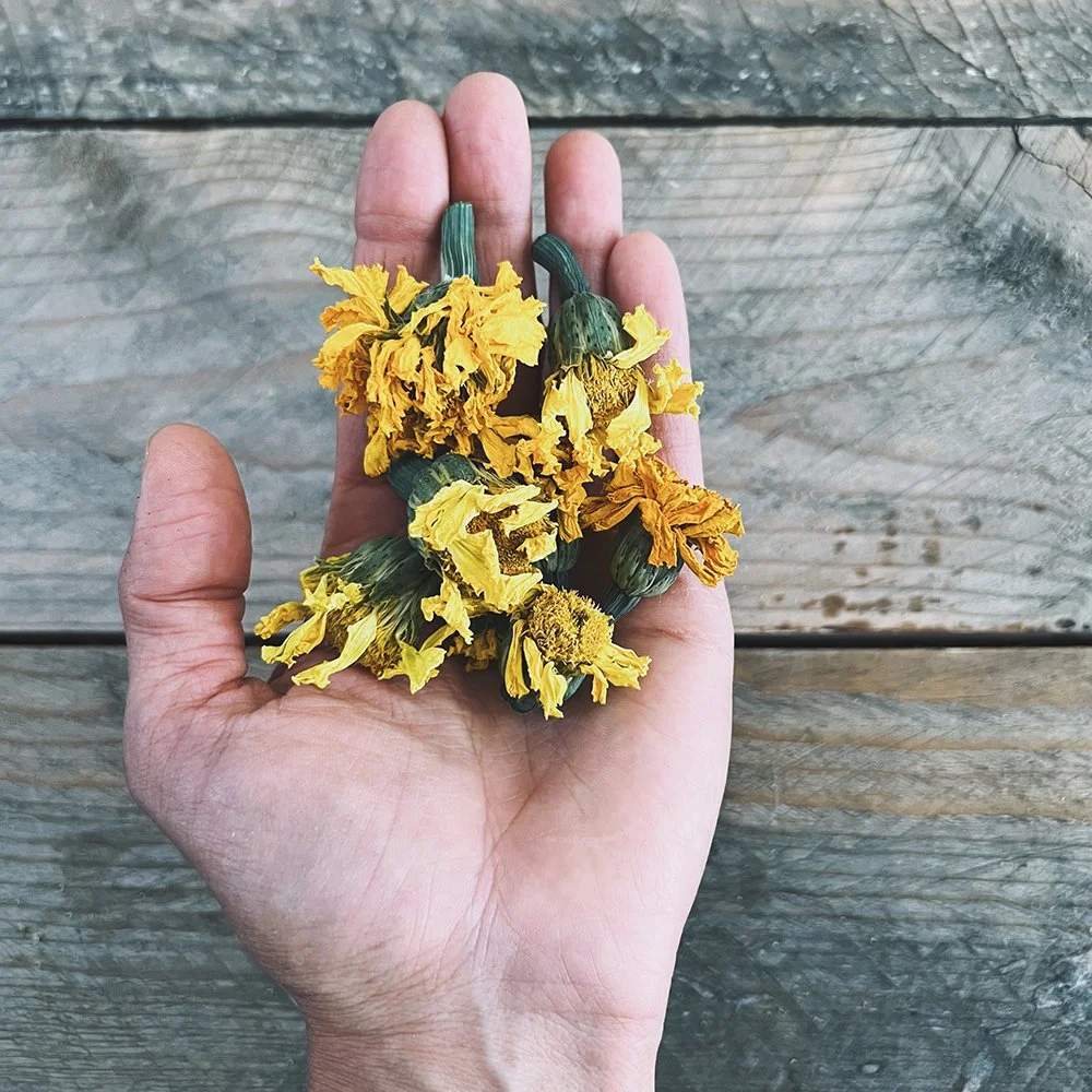 Dye Flower Variety Pack — Farm & Folk