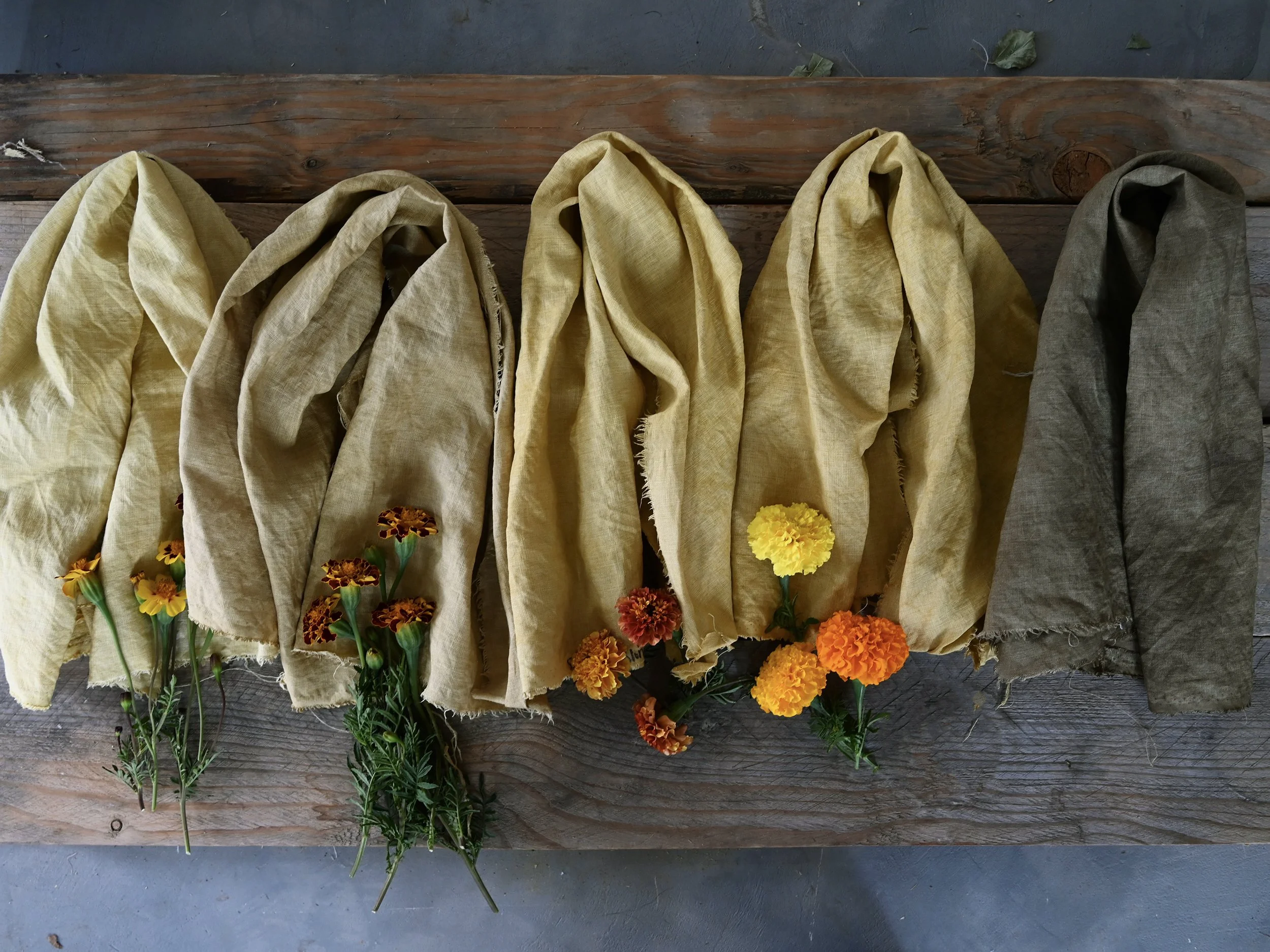 Natural Dyeing with Marigolds