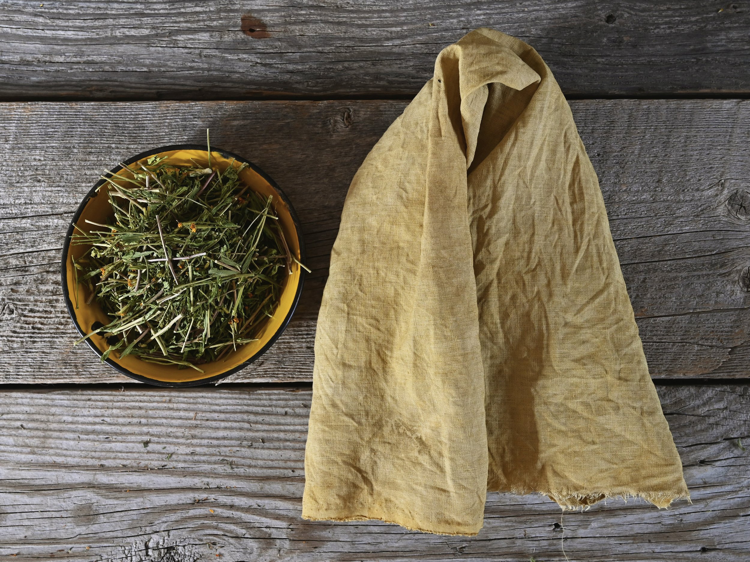 Natural Dyeing with Pericón
