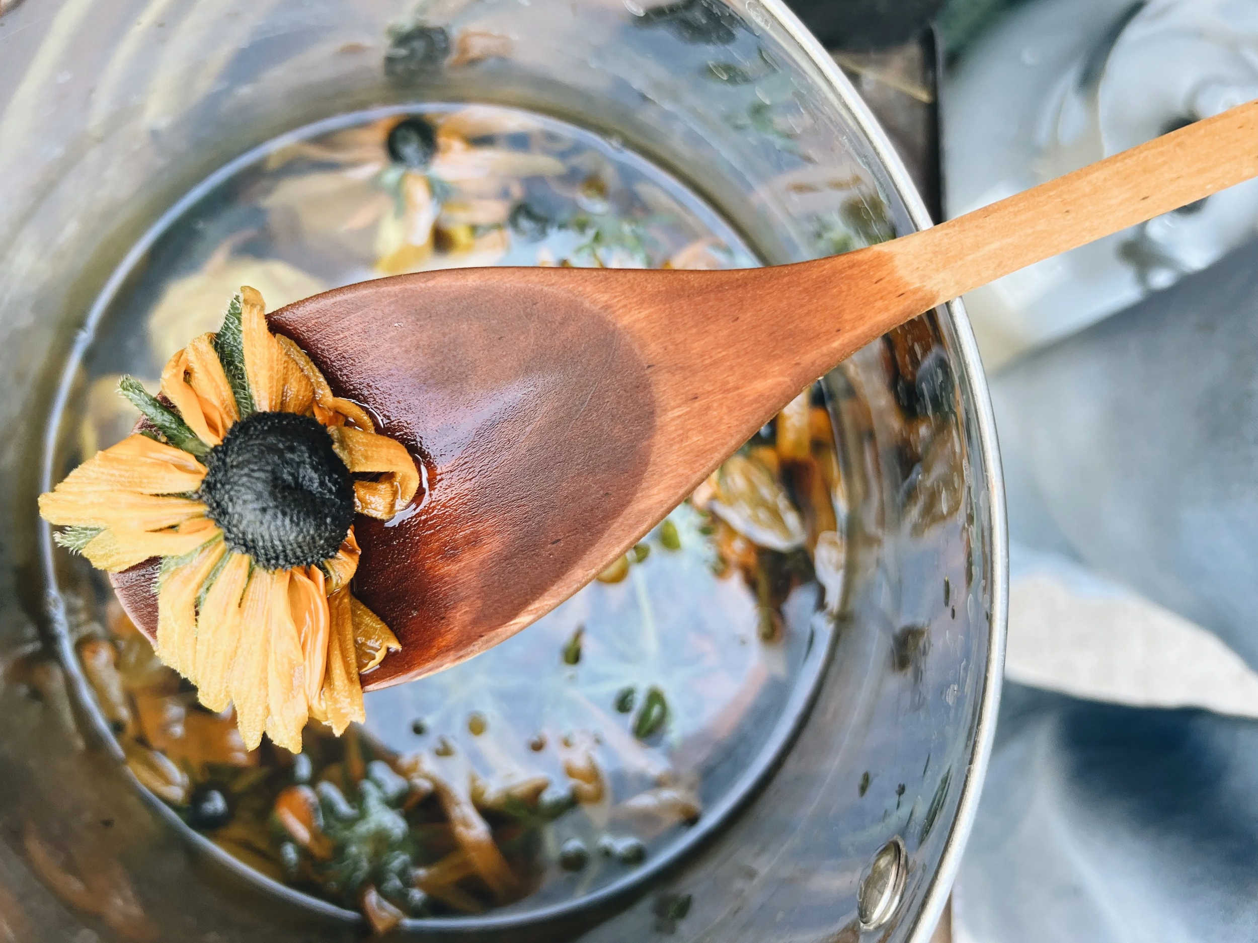 Natural Dyeing with Rudbeckia Flowers