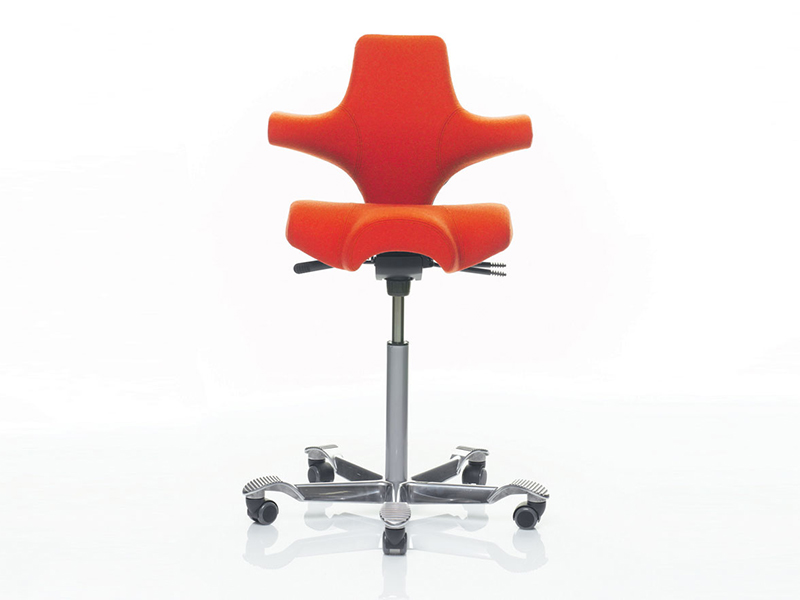 Hag-Capisco-Office-Chair-.jpg