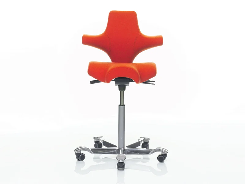 Hag Capisco Office Chair