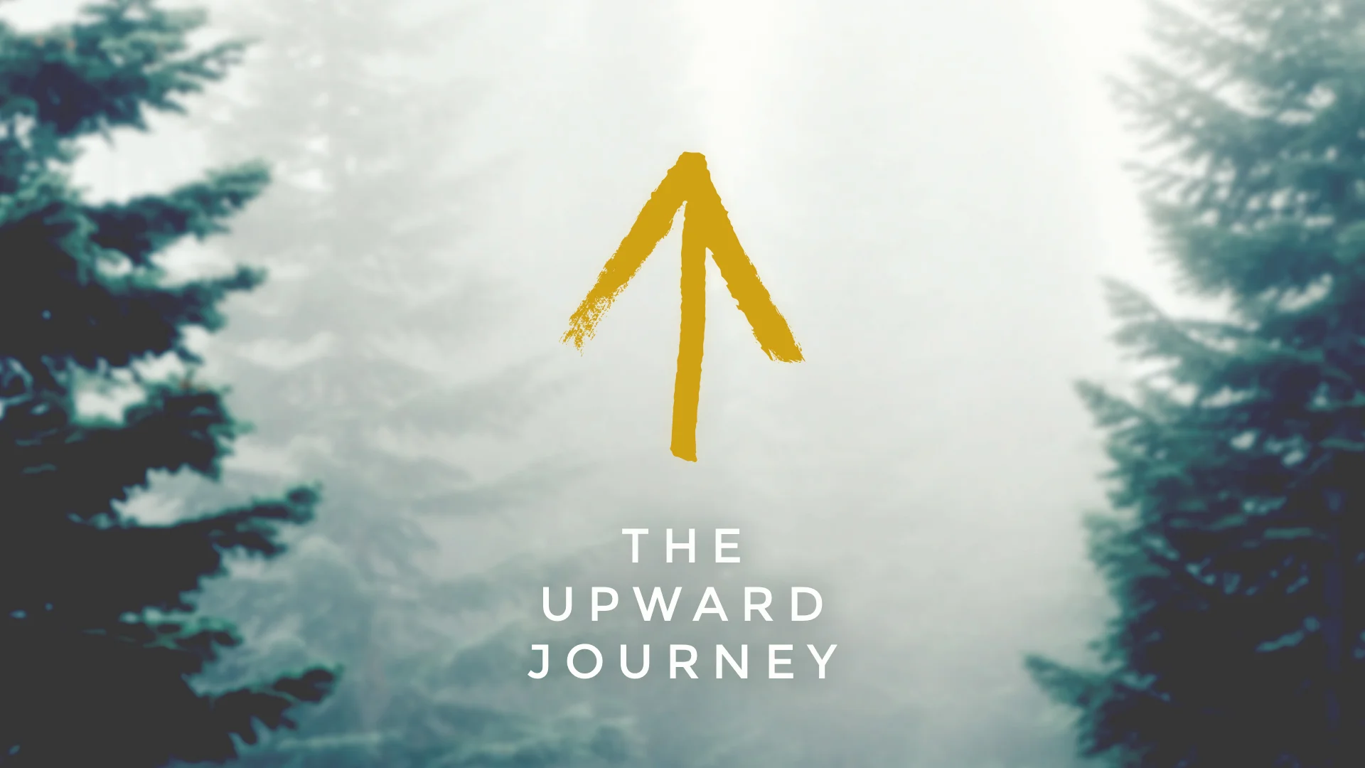 Upward.jpg