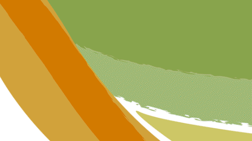 animation.gif