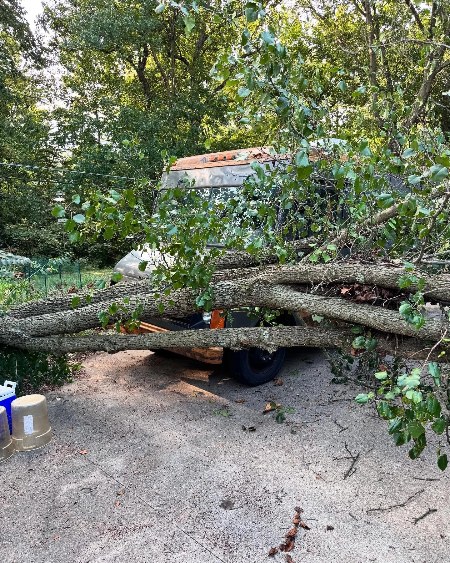 Welp, this happened. A tree fell on Marilyn, the truck. We&rsquo;ll be getting it removed tomorrow and trying to repair her but we&rsquo;ll be running with an alternative menu on Sat at the @columbiafarmersmarket thanks for your support! We ❤️ you Co
