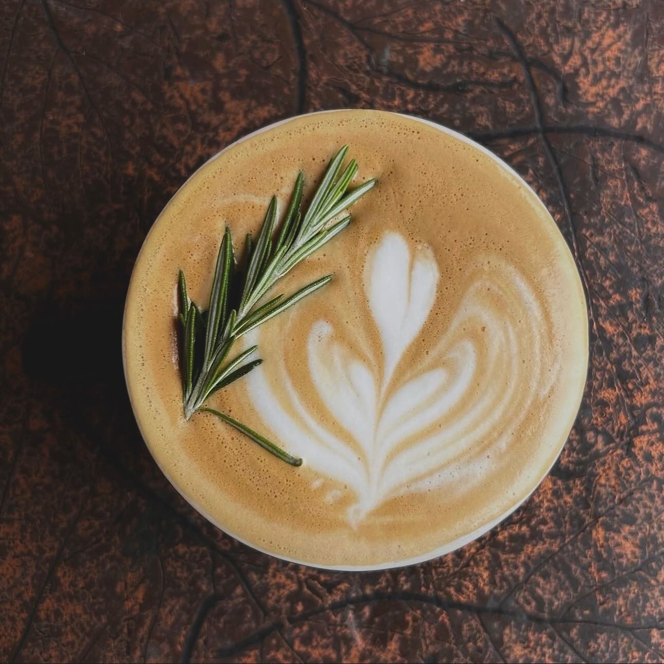 The first of our Winter Seasonal House-made Syrups has just dropped, and just in time for the first snow ❄️! Come by and try Dark Chocolate, Peppermint, and Brown Sugar Rosemary