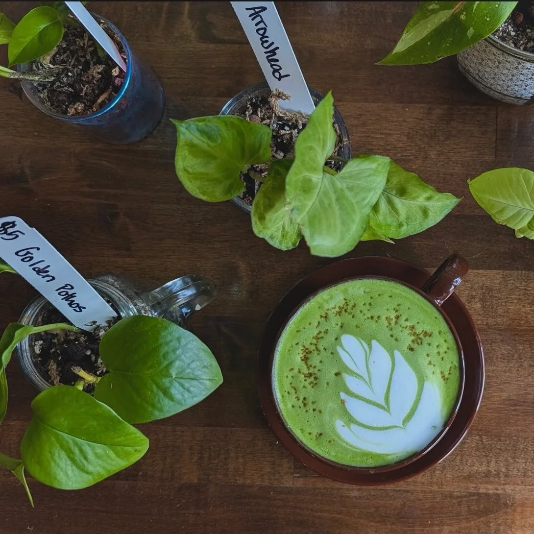 Matcha Matcha Matcha! 🍵 Serving Sonogi ceremonial grade matcha from Hugo Tea in Kansas City.