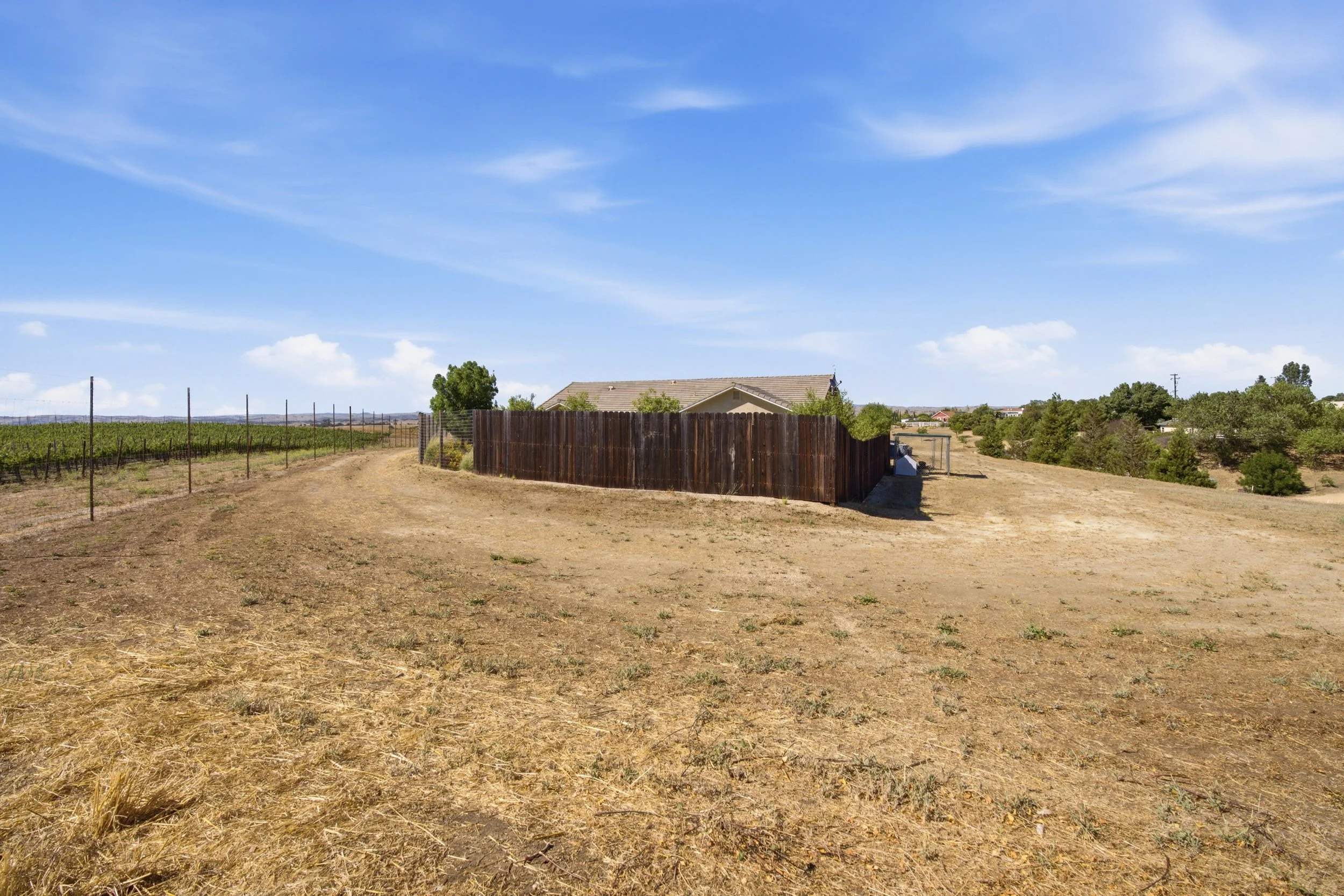 DSC02041.jpg