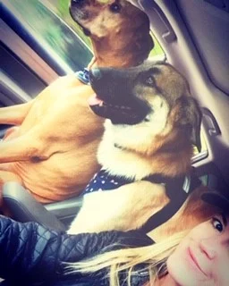 me, scout and copper.jpg