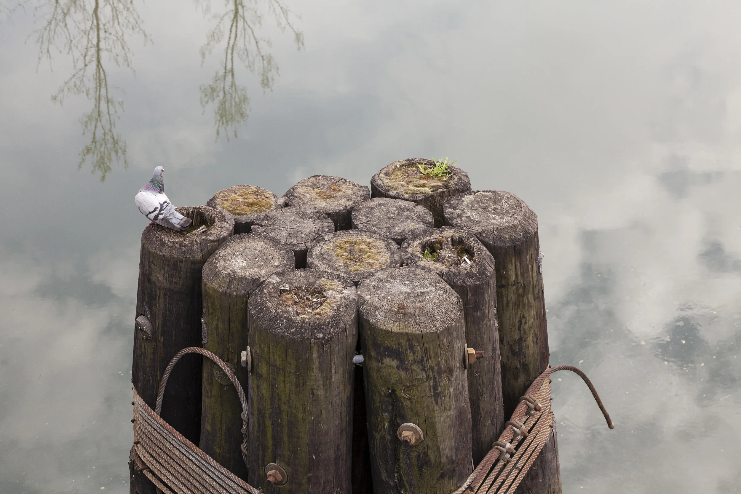  Gowanus Canal, Brooklyn, New York, 2011 