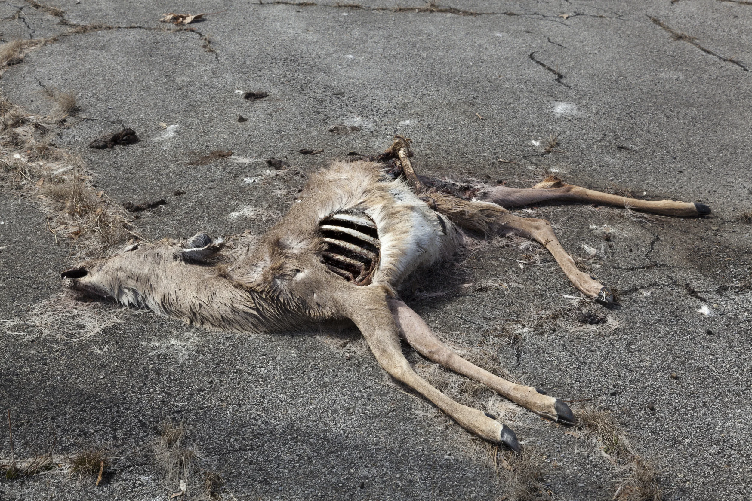  Hoe Bowl Parking Lot, Hyde Park, New York, 2013 