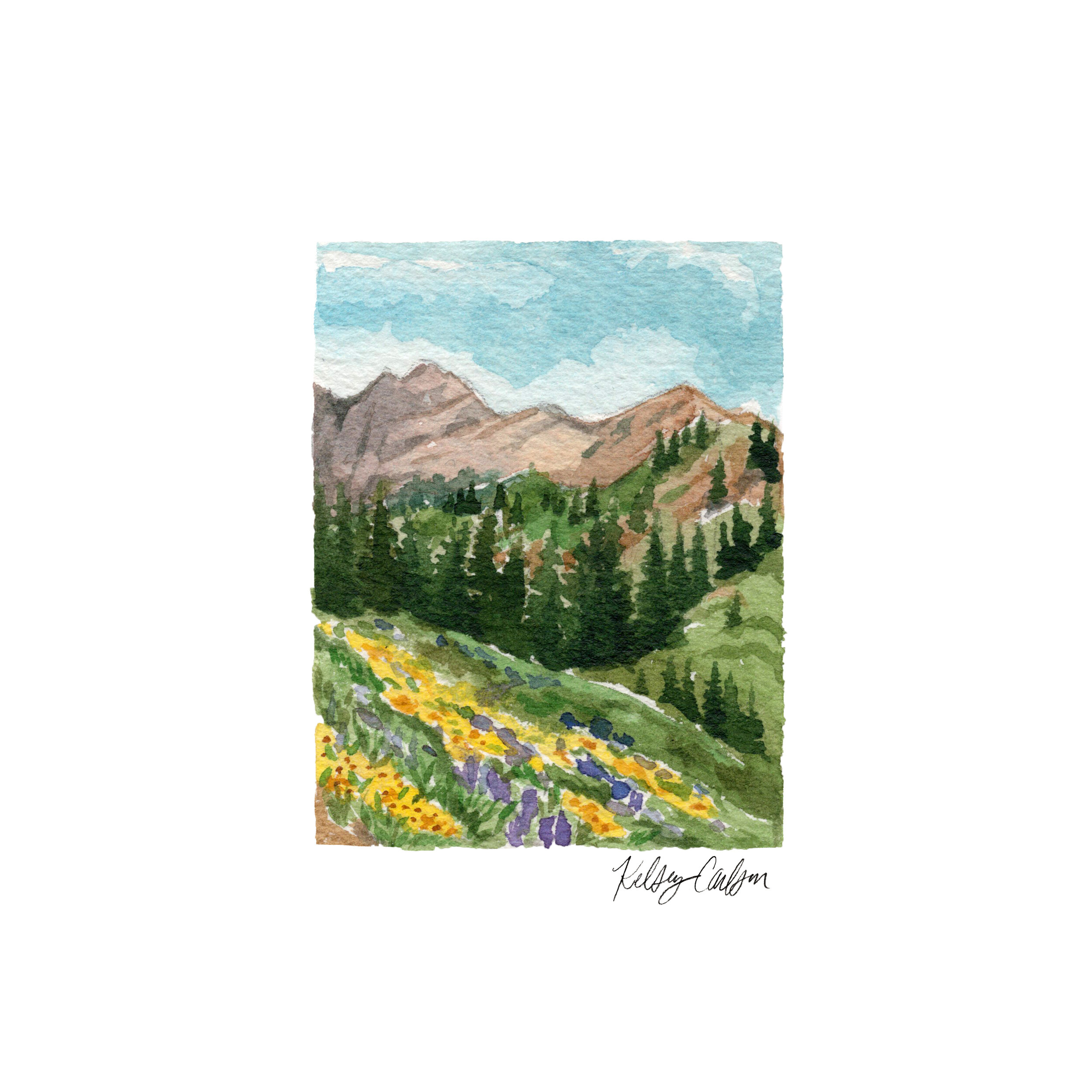 Albion Basin_5x5_insta.jpg