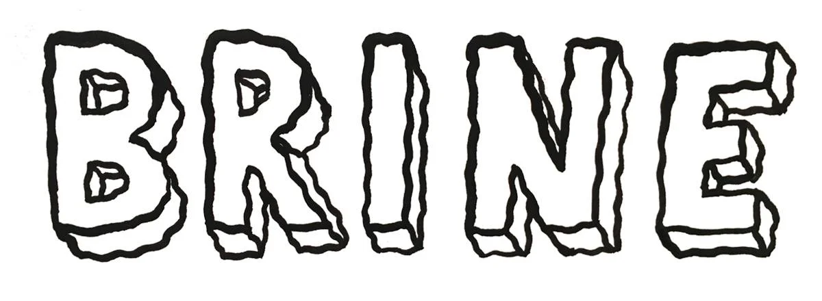 Brine the Zine