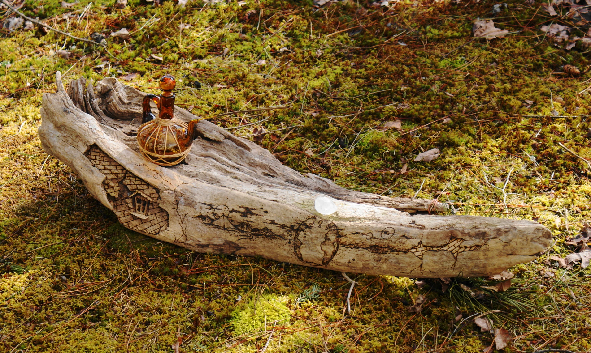 DSC08201.JPG