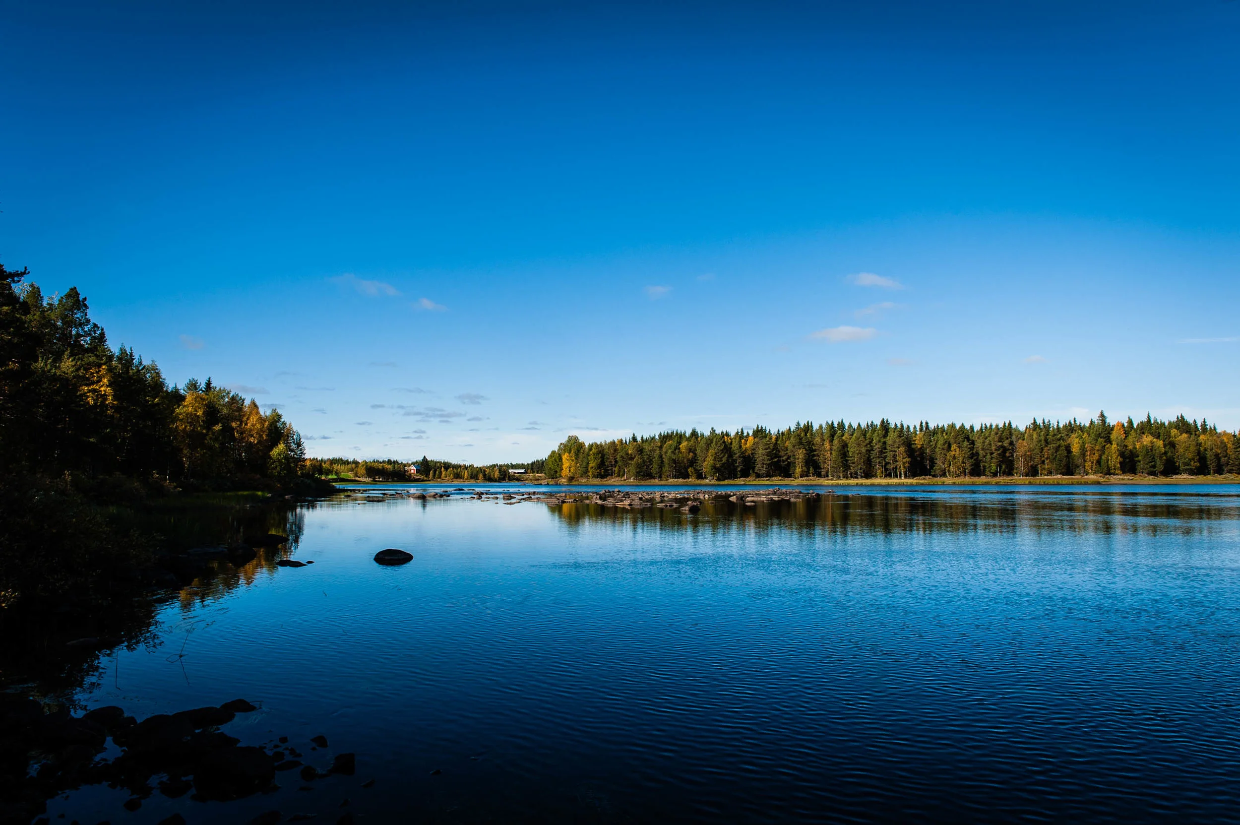 Ny försäljningschef med ansvar för samtliga fiskevatten i landet som Sveaskog förvaltar.
