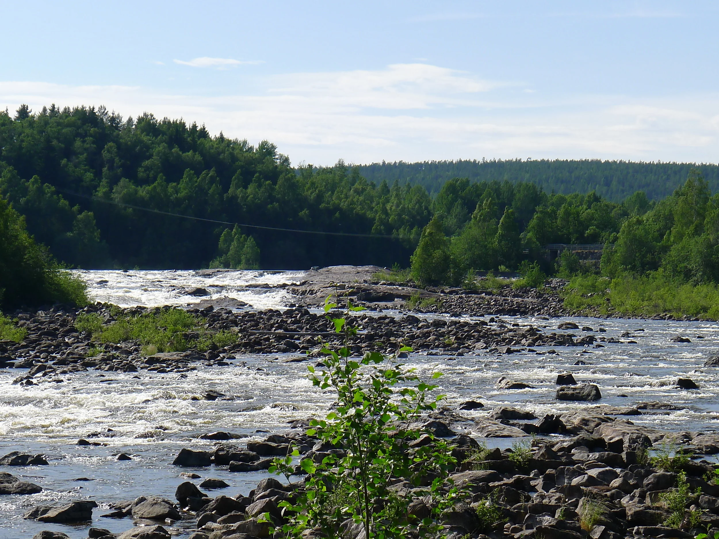 Vad händer i Ume-/Vindelälven?