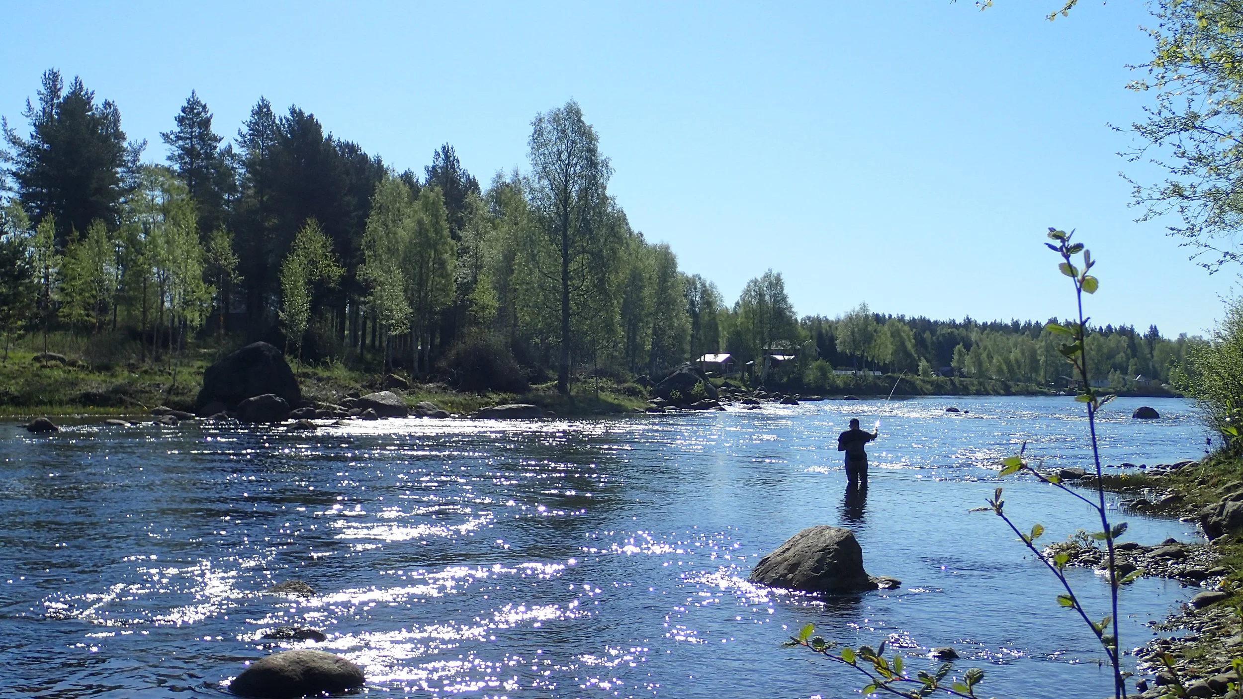 Vad händer i Åbyälven?