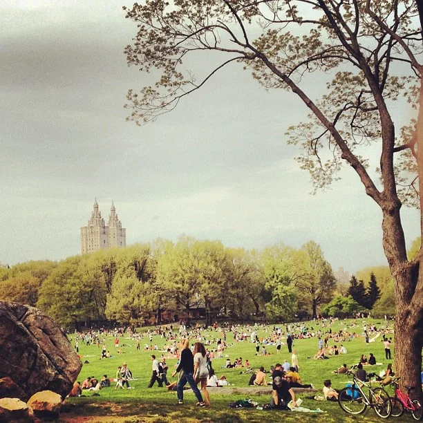 2012-04-19_1334808477.jpg
