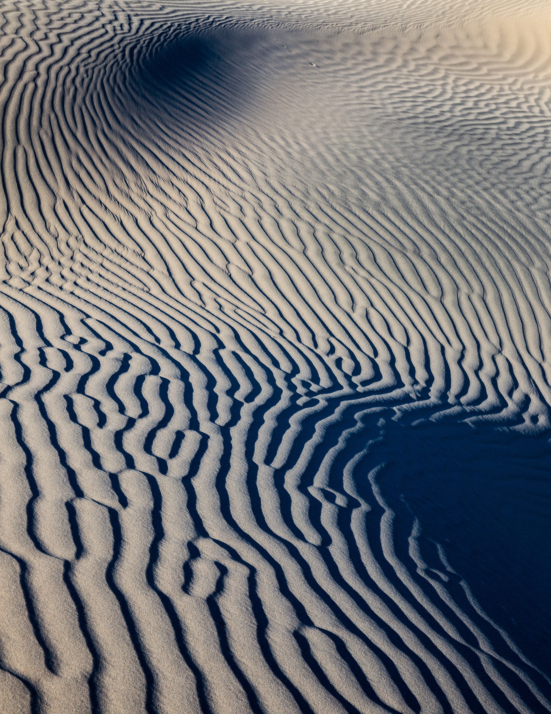 DesertFingerprint.jpg