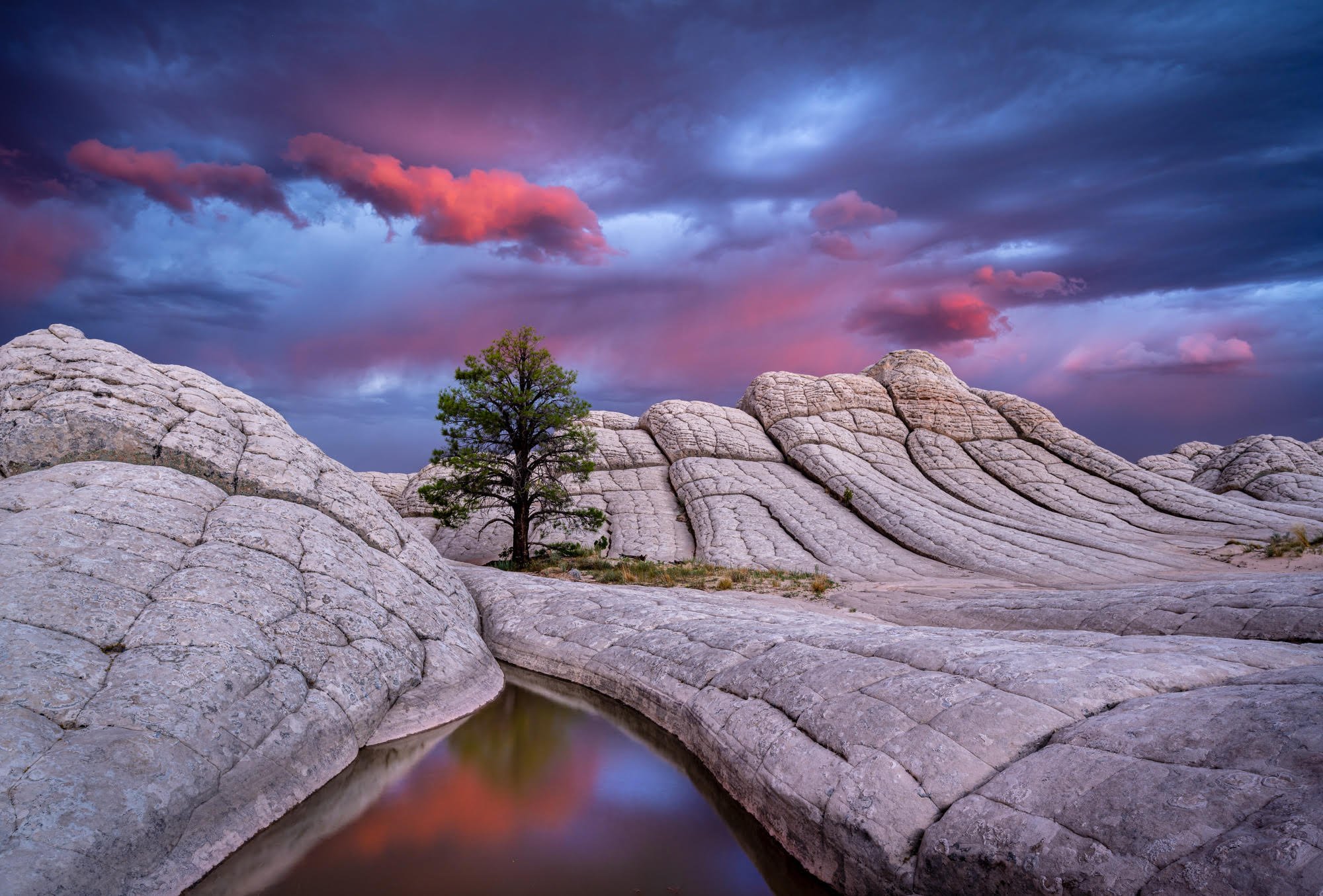 Celestial Cotton Candy