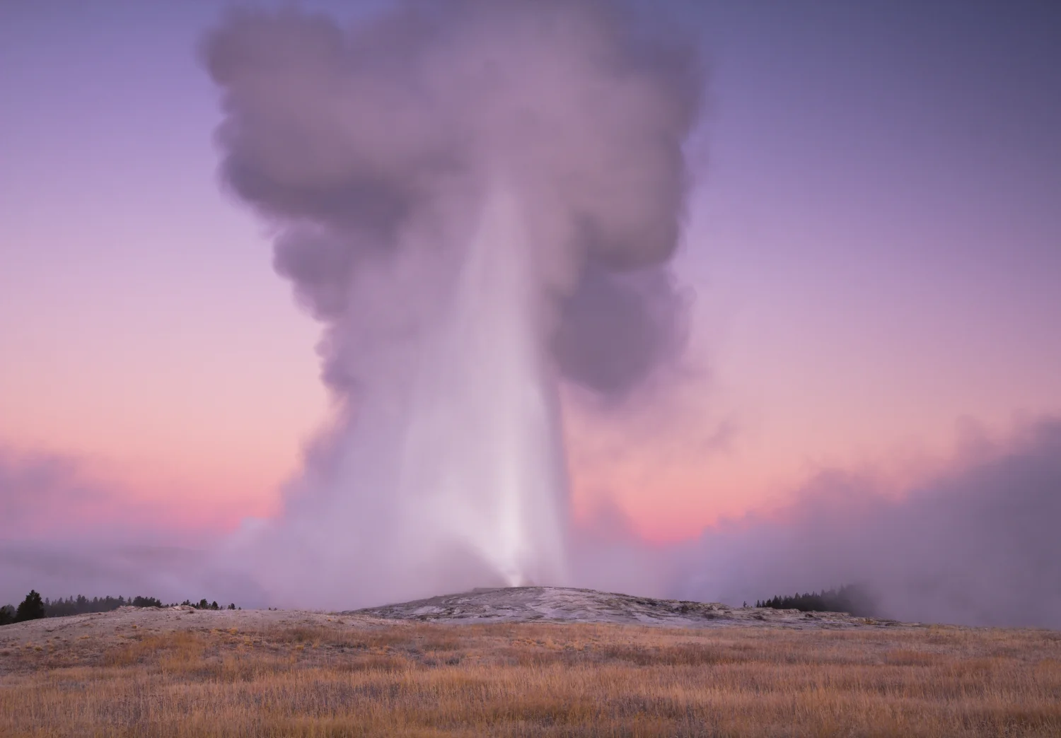 Old Faithful, Yellowstone, Wyoming Buy Prints