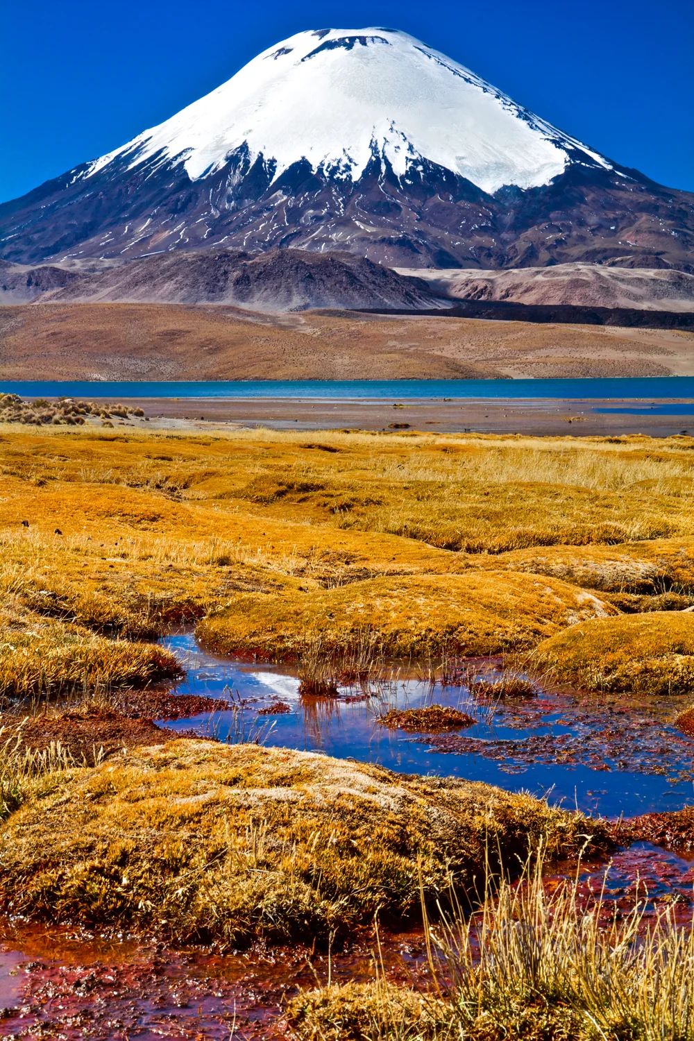 Volcano Landscape Photography Lucas Cometto Wilderness Landscape Photography