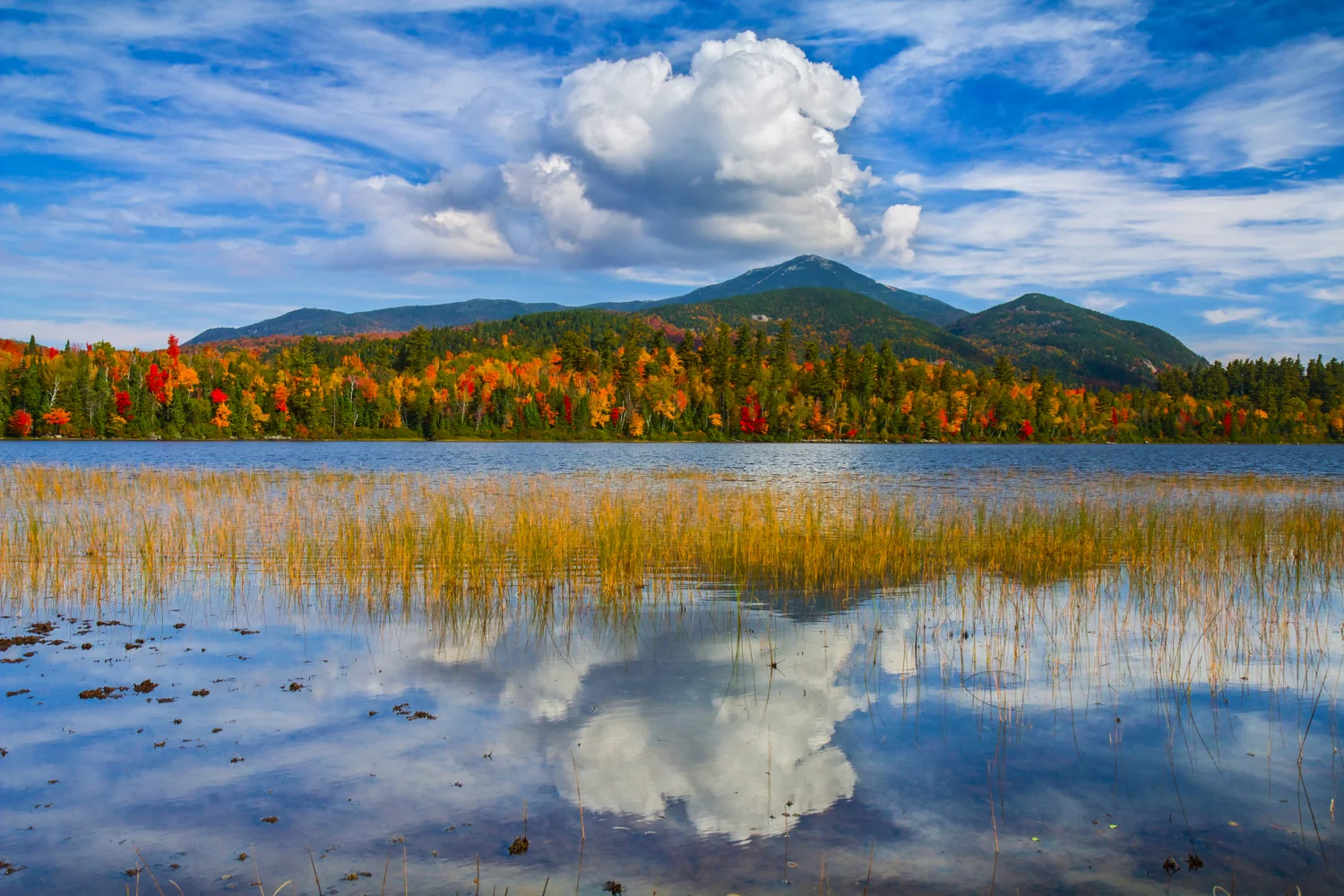 Connery Pond in Adirondack State Park, New York Buy Prints