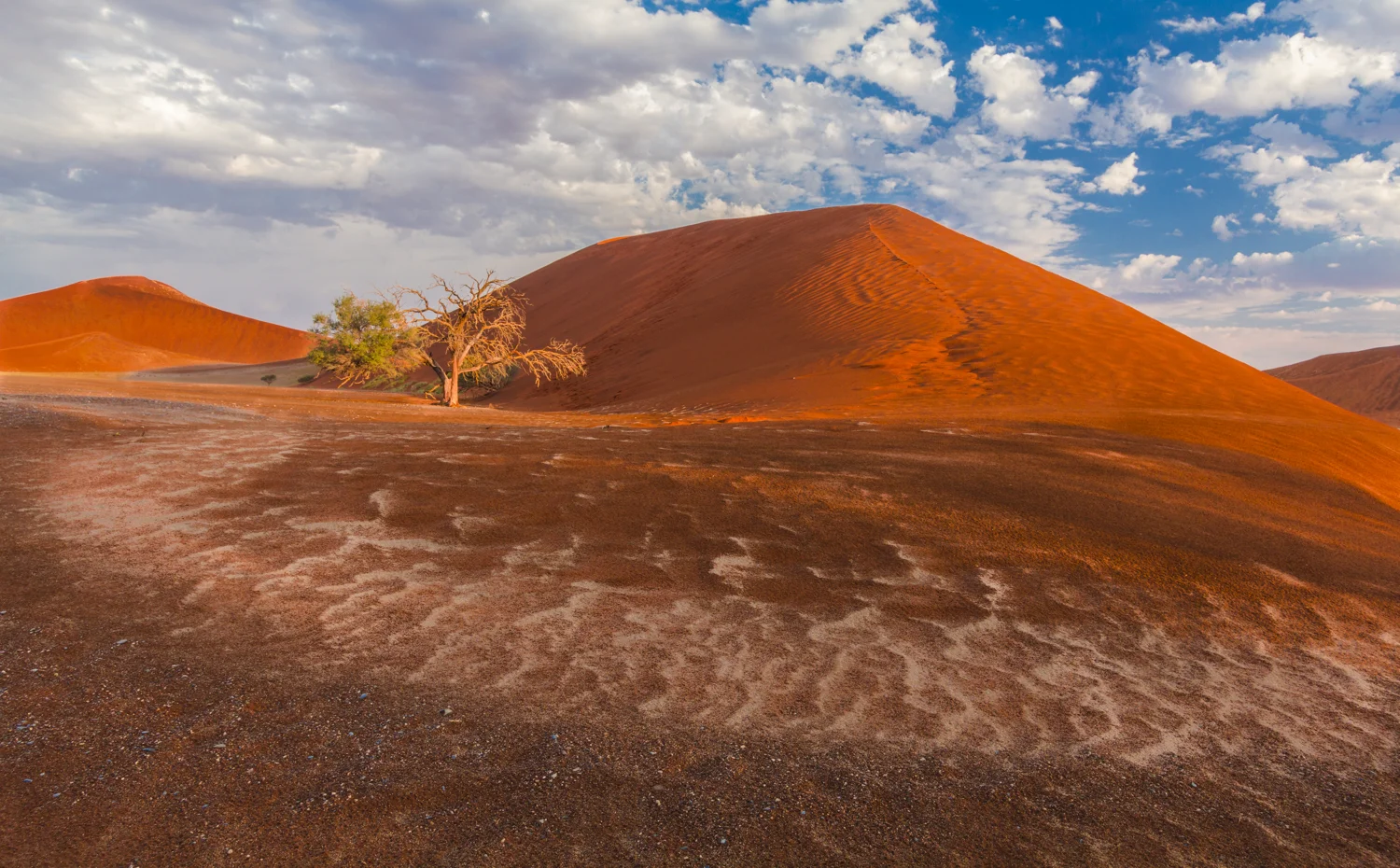 Sossusvlei.jpg
