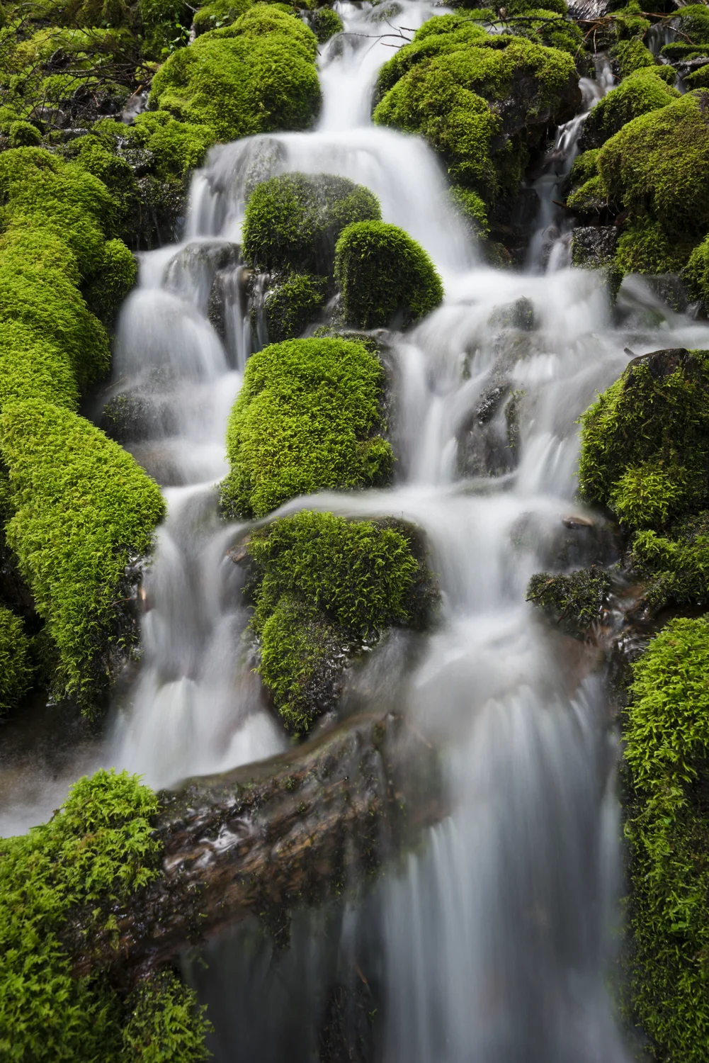 Spray Park, Mount Rainier National Park Buy Prints