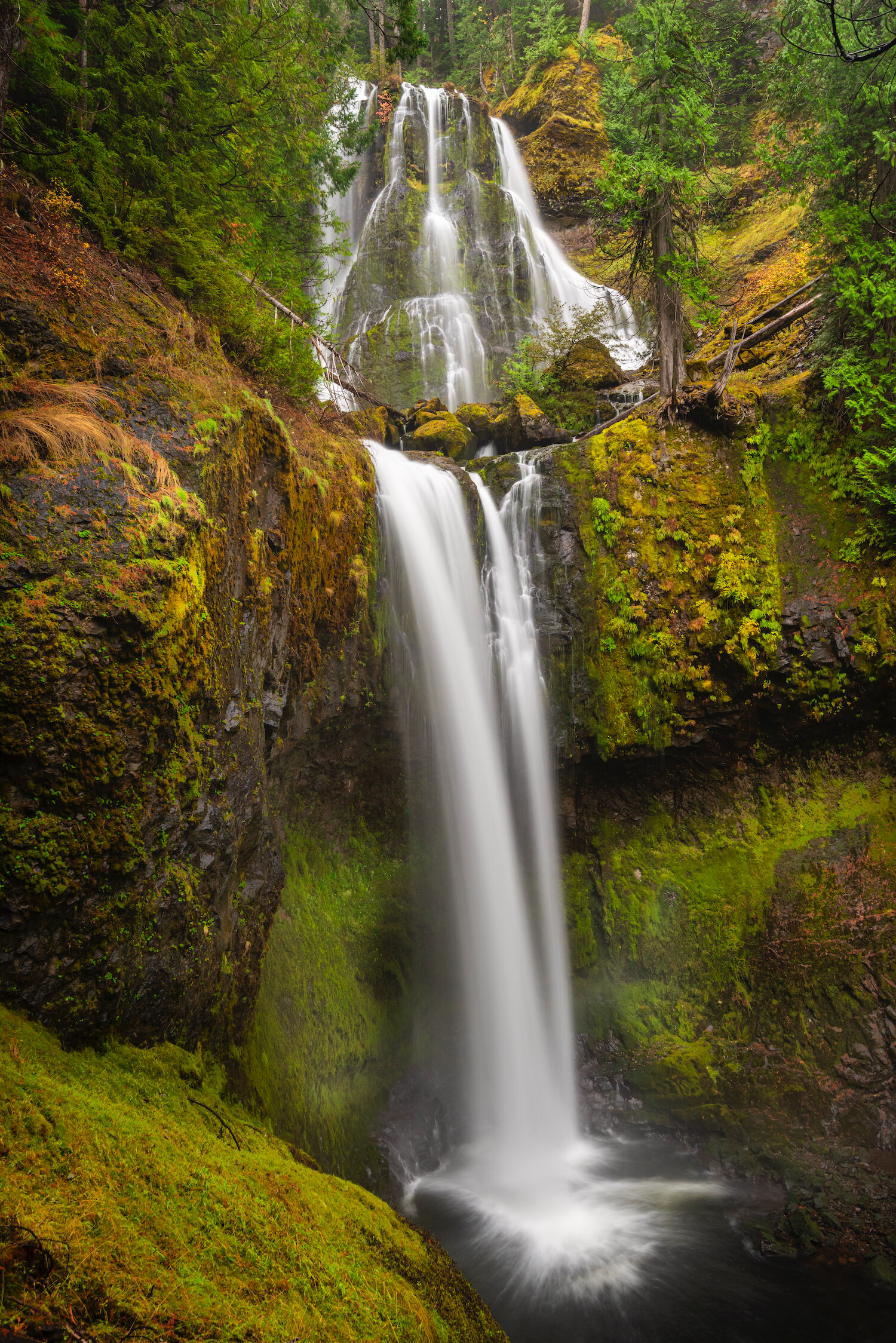 Paradise Falls, Near Mt St Helen In the Pinchot Gifford Nat…