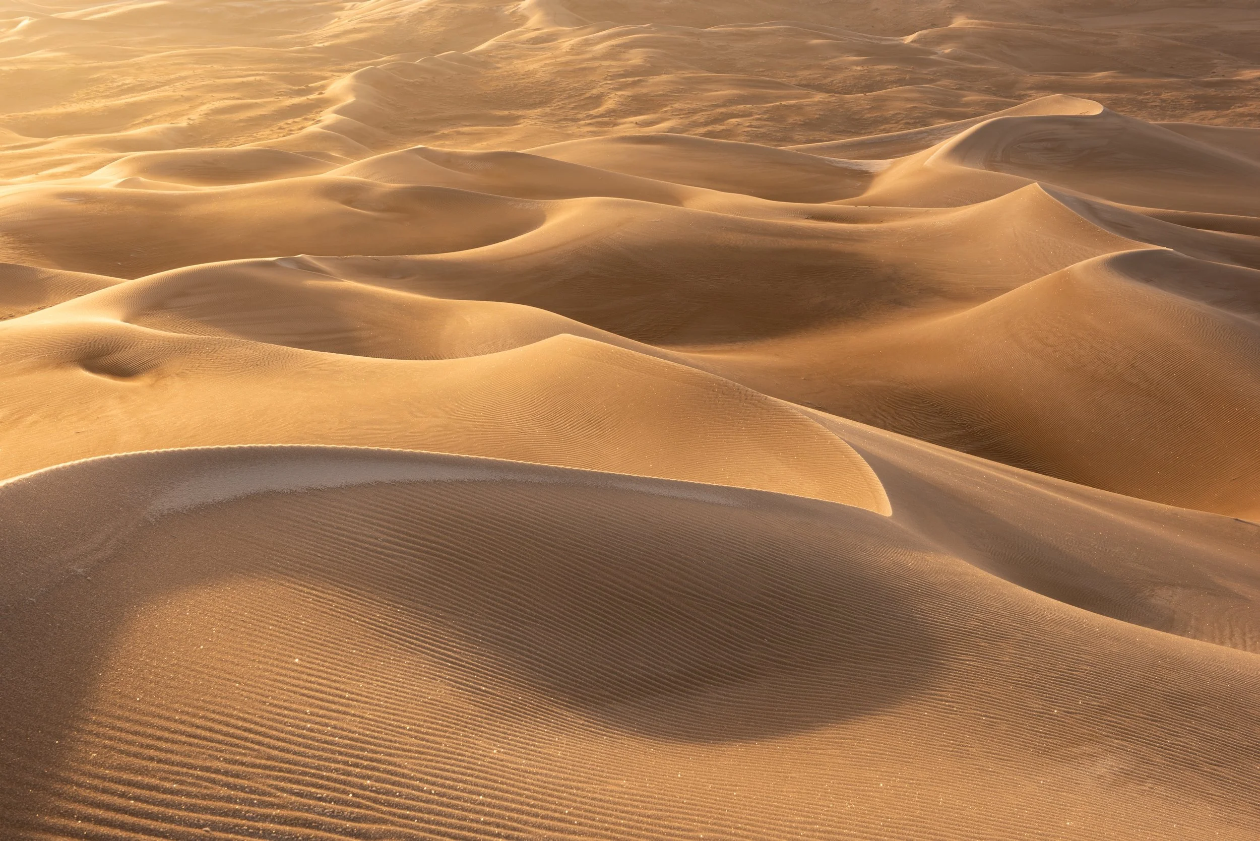  Gobi Desert (Badain Jaran Desert), China    Buy Prints   