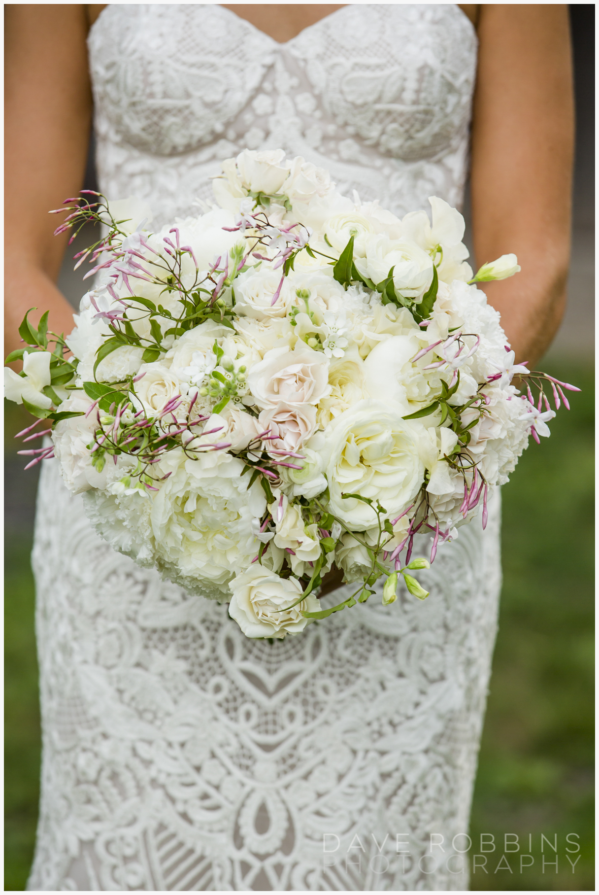 DAVE ROBBINS PHOTOGRAPHY 0081.jpg
