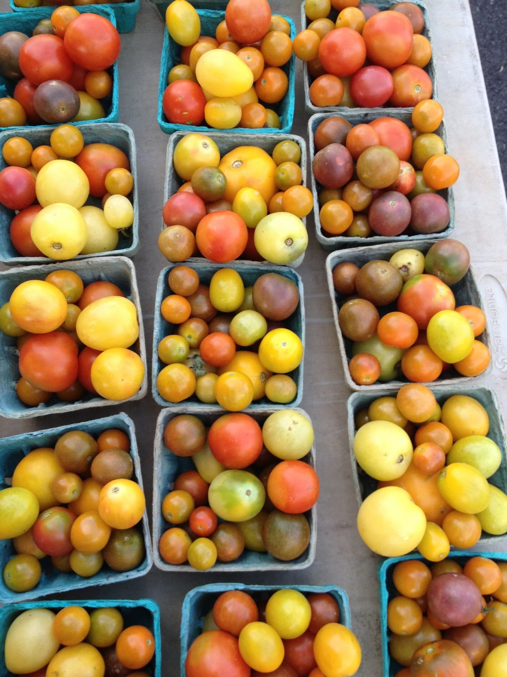 Tomatoes-in-boxes-Maryland-CSA.jpg
