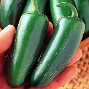 jalapeno.jpg
