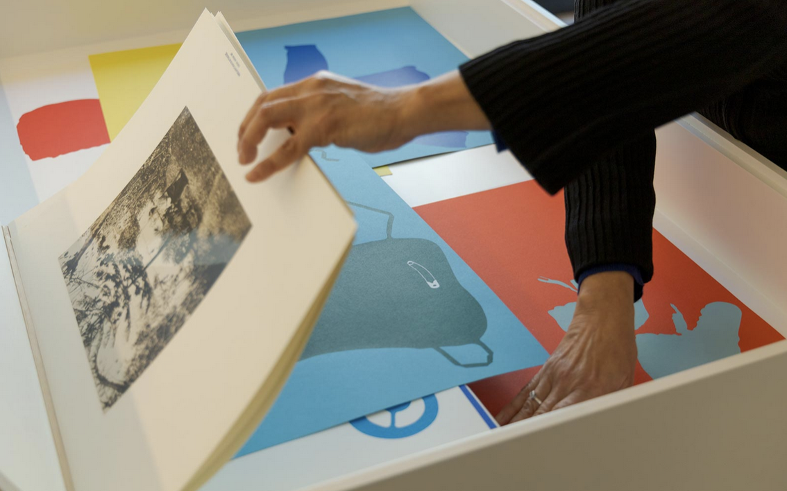 Texto Curatorial: O Olhar é um Encontro Comum ((PT))