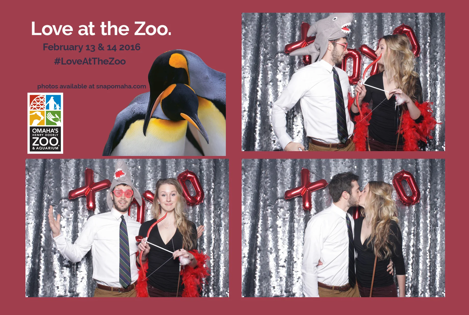Love at the Zoo | Valentine's Day