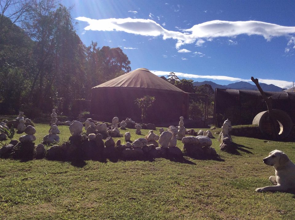 Yurt and Friends 2017 3.jpg