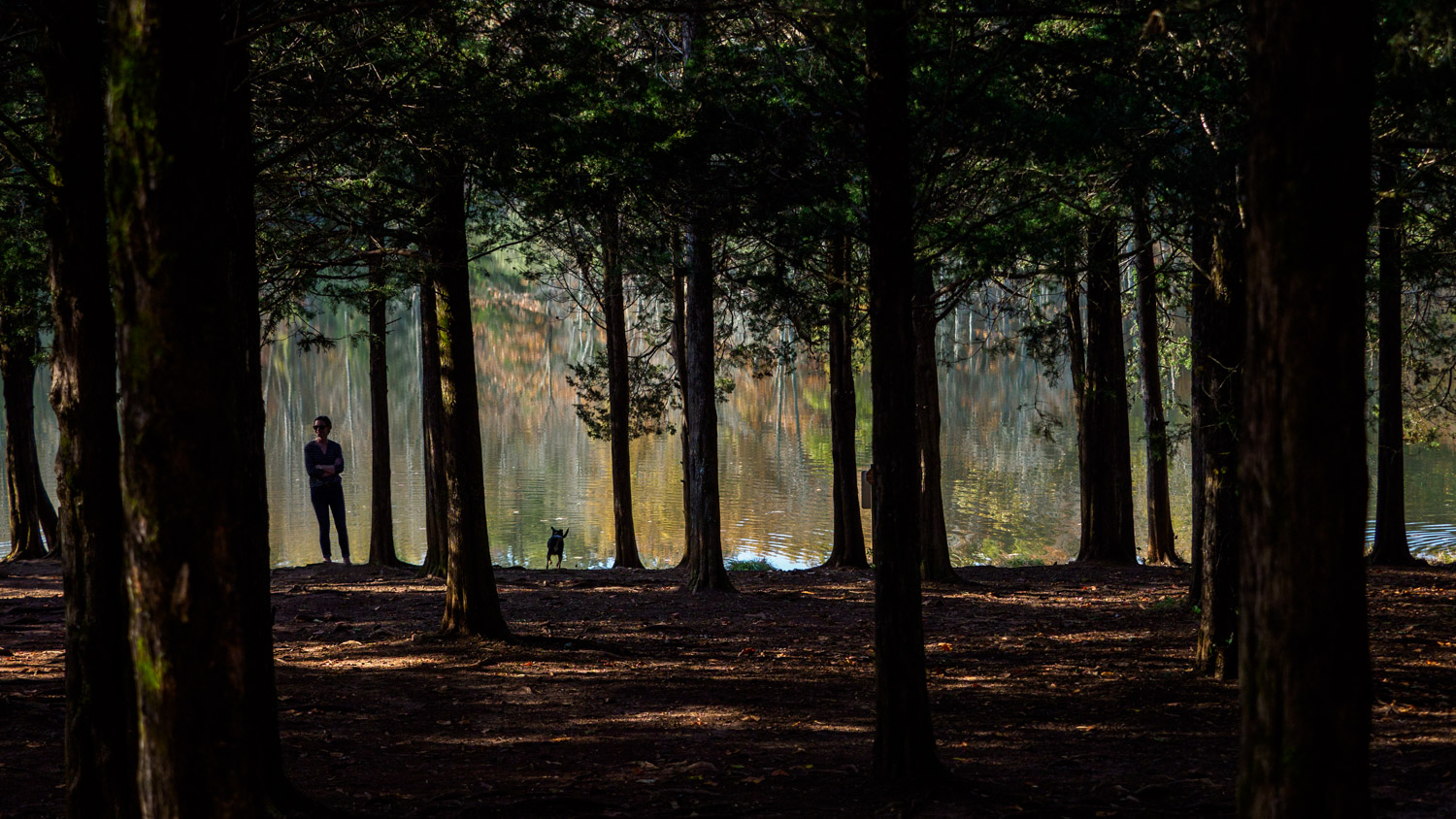 Chris Greene Lake, Virginia