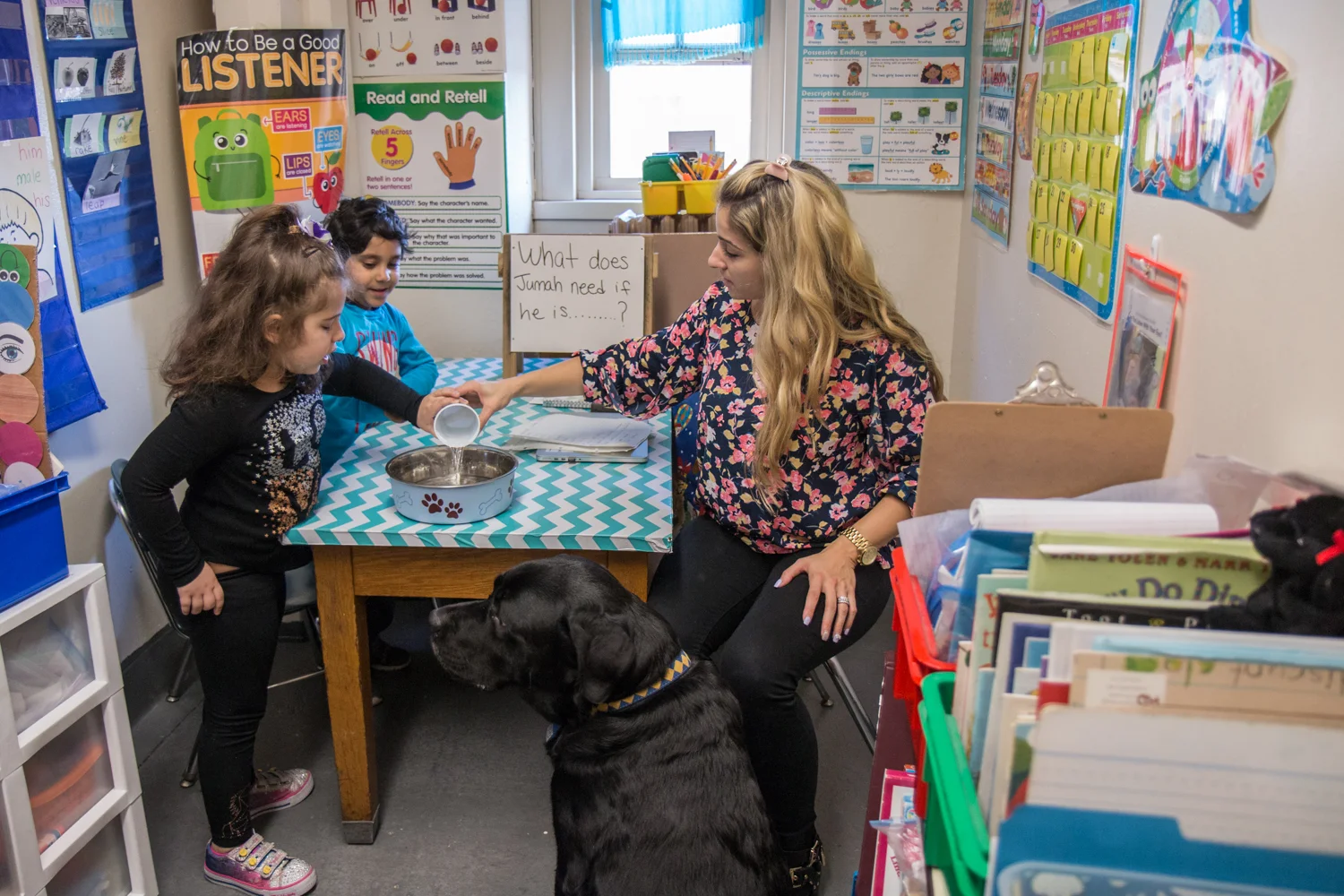 Comfort Dog Program, NYC Public Schools
