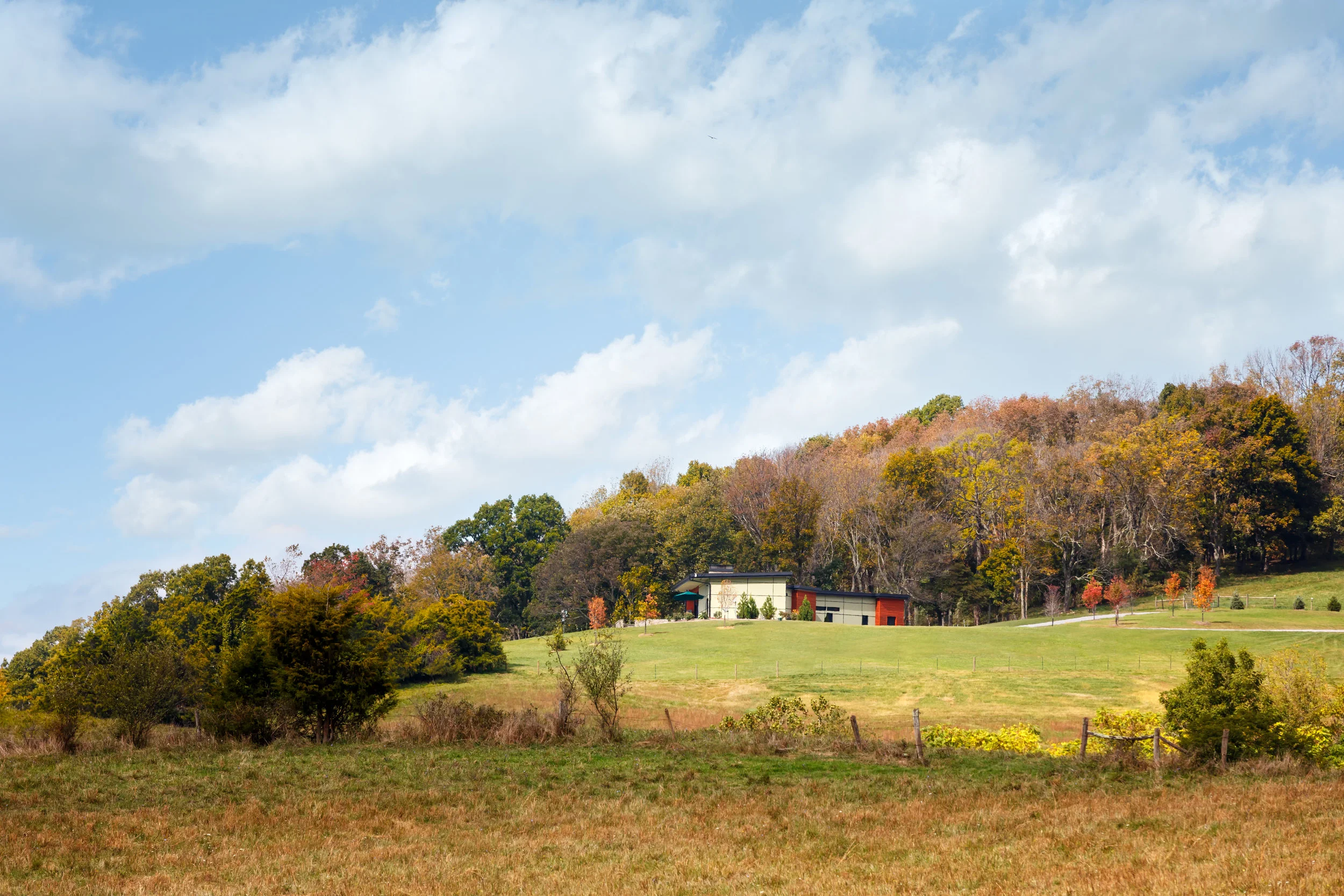 Photo Credit: Virginia Hamrick