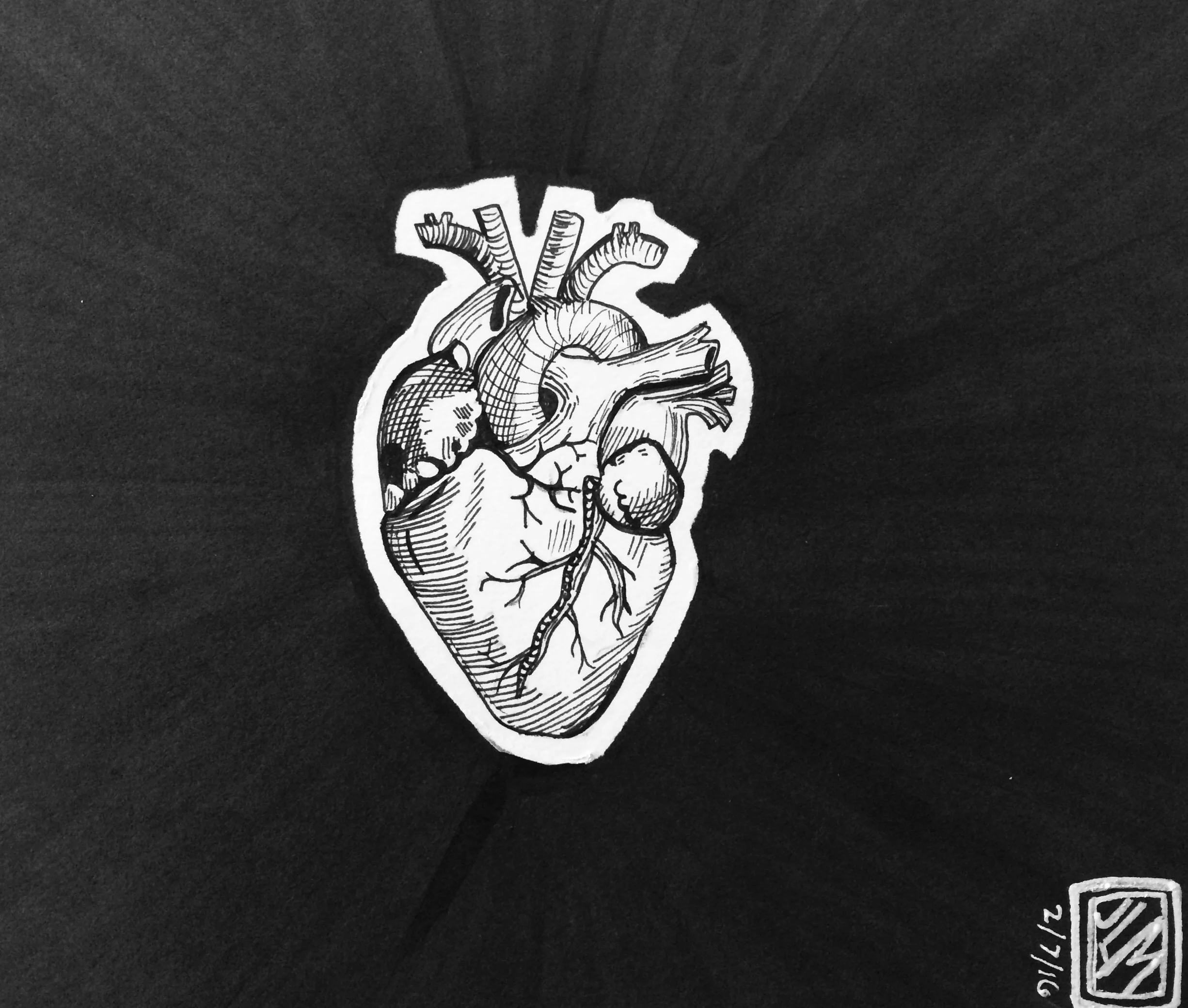 Heart