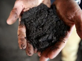 bensons-Super Soil.jpeg