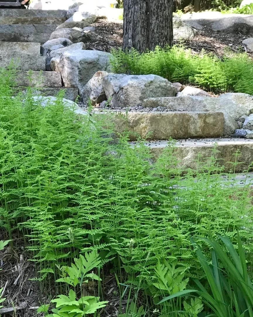 1AE2D5E5-7B9B-4E0E-8526-66C2265DBDAB