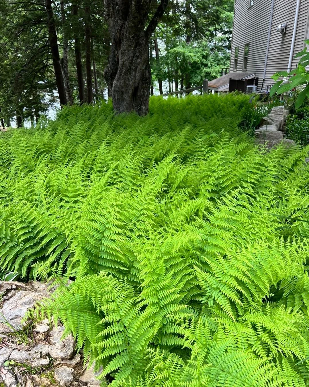 9D83AA6F-0ACD-4228-9ADF-8F8C5DAB39BA