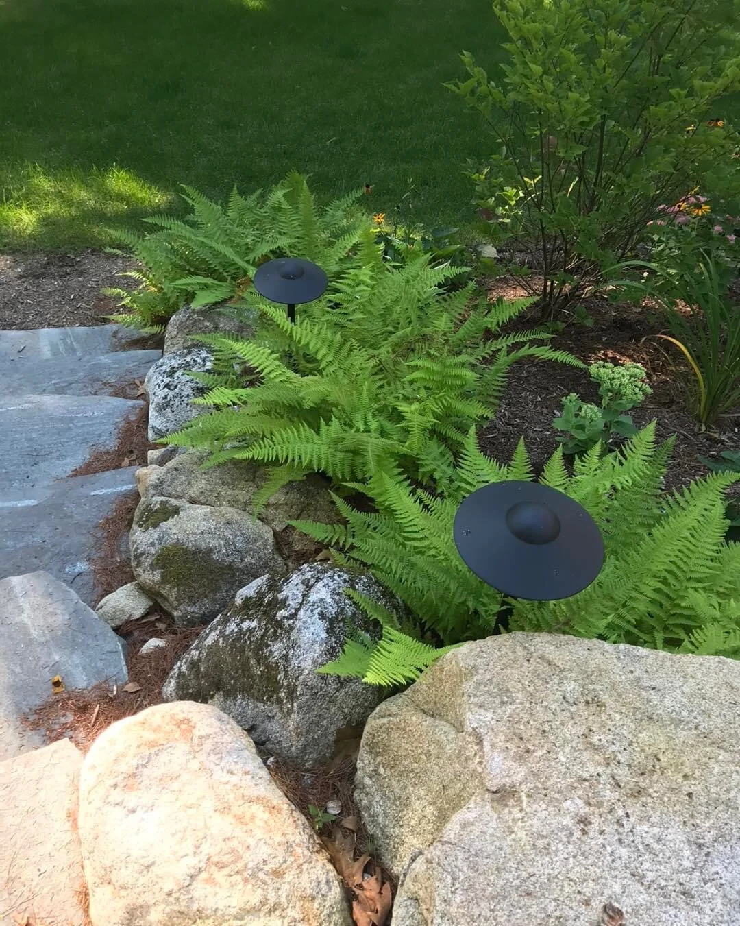 AB7FDF32-410E-4AA2-BEF4-EA7AEE6FAA7C