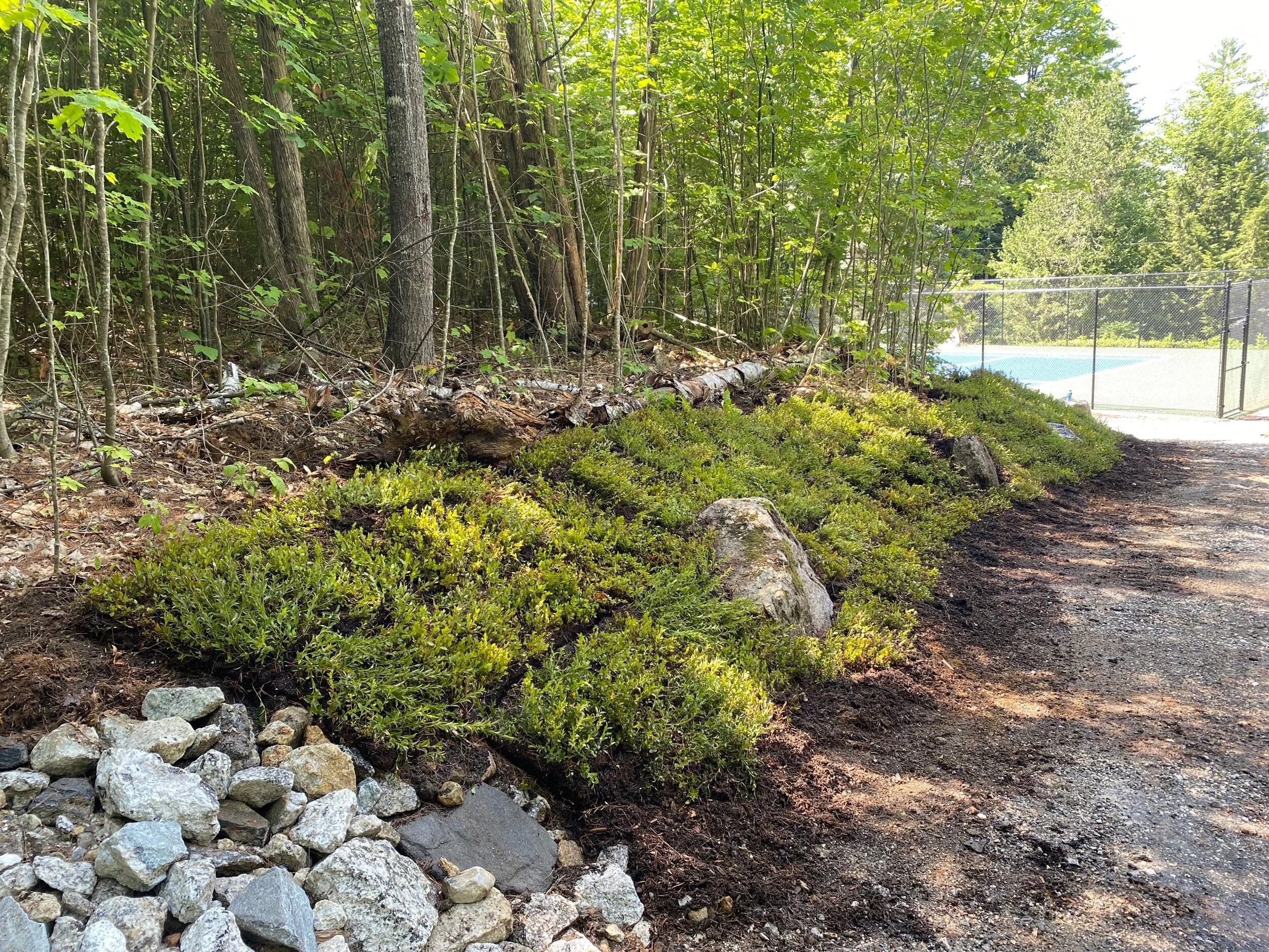 8376540C-91DF-46F7-9C26-FDE0DD6B22A6