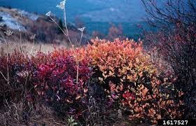 4F535B80-97C9-43A6-9A5E-A7736165F3BE