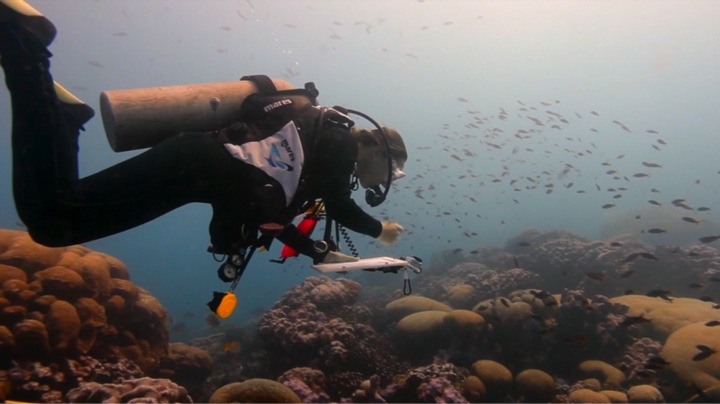 Image courtesy of The Clipperton Project.